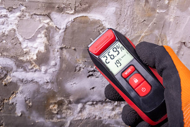 Best Emergency Mold Removal  in Dixon Lane Meadow Creek, CA