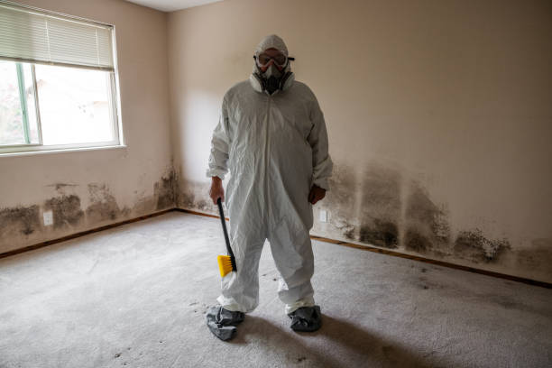 Best Mold Testing  in Dixon Lane Meadow Creek, CA